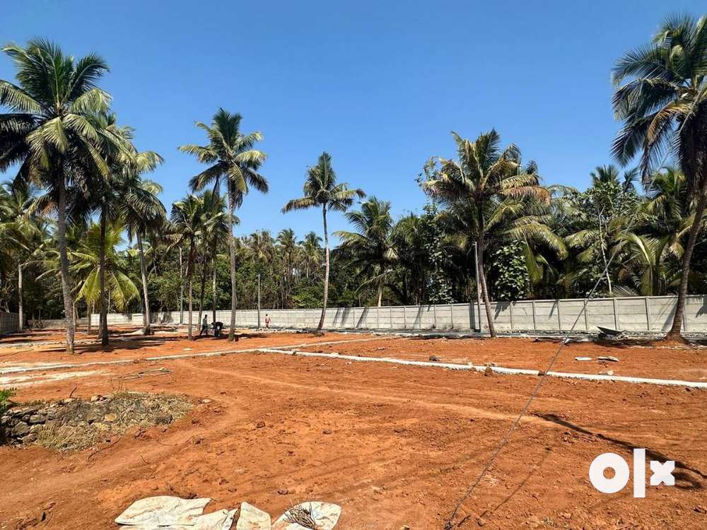 Residential plot for sale in kolangattukara