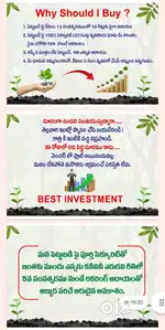 22cents farm land plots for @ adhanki