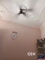 Need your roommate