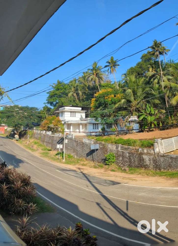 Business Land Proprty