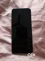 Arjent hai