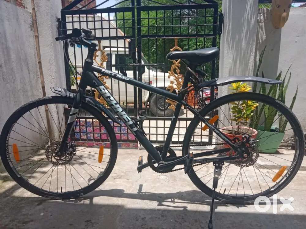 1.5 years old cycle