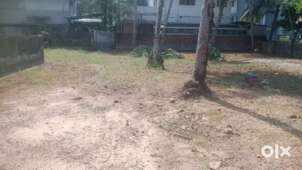 Dry land 4.5 4,5 10 cent plot near lords hospital anayara