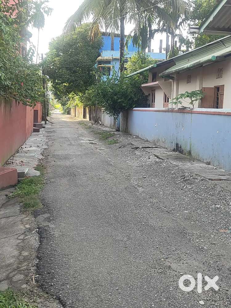 Want to sale my own land 12.5 Lucha i.e 1800 sq ft in Bakharapara