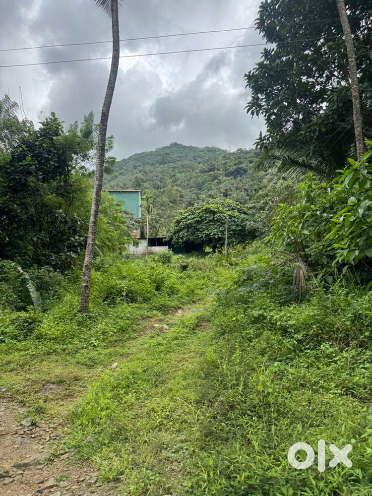 100 acre quarty land for sale