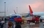 Fresher Candidates Apply for ground staff jobs in Indigo Airlines