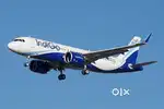 Jobs in indigo airlines urgent hiring fast apply
