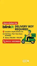 Blinkit delivery boy