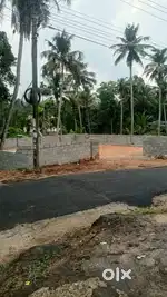 6.5 സെന്റ്  Suitable for both Housing / commercial purposes .