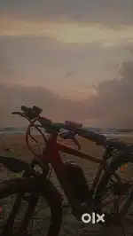 Eletric cycle