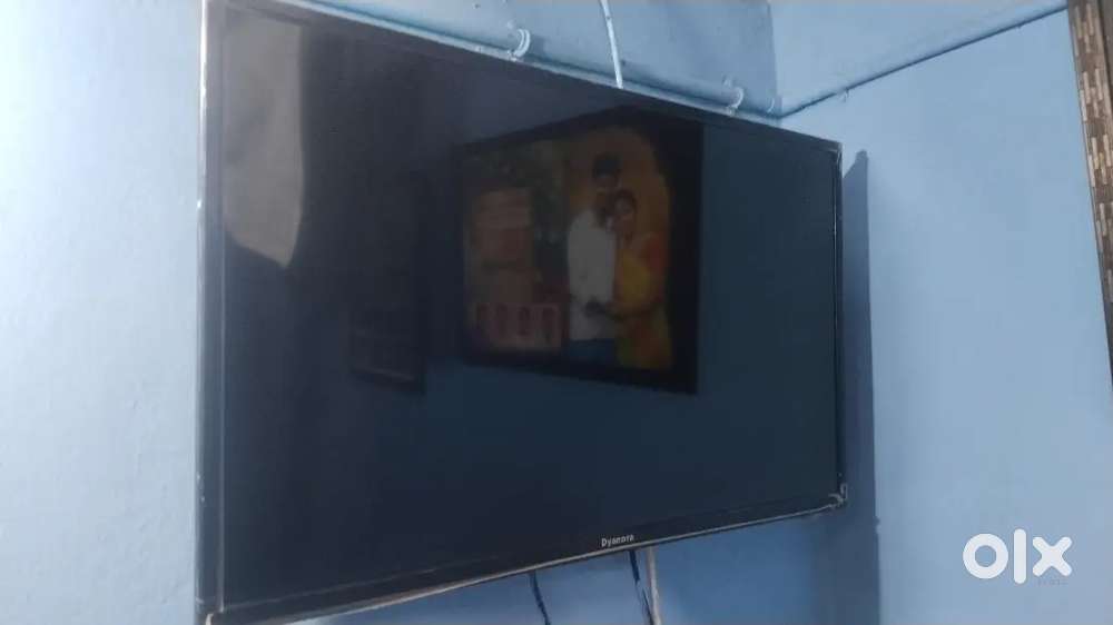 Dyanora Model 24 inch