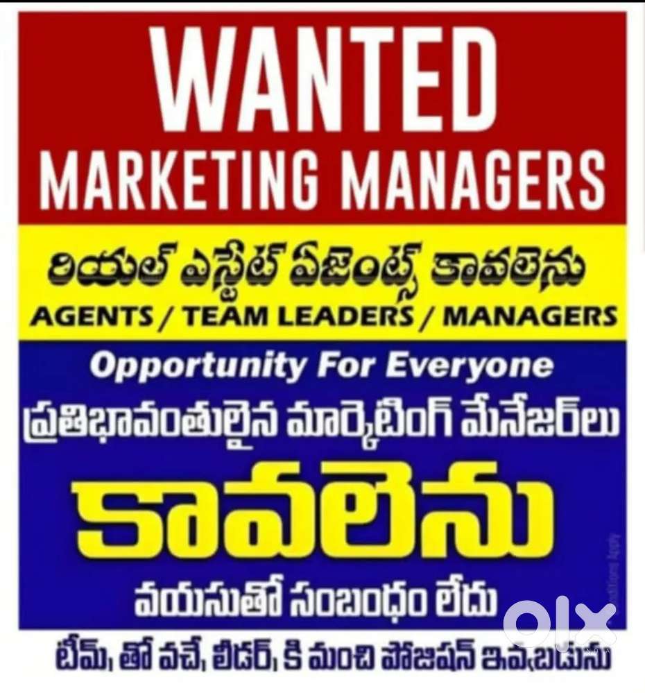 Real Estate Opportunity