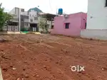 5.50 cent west thoppampatti near