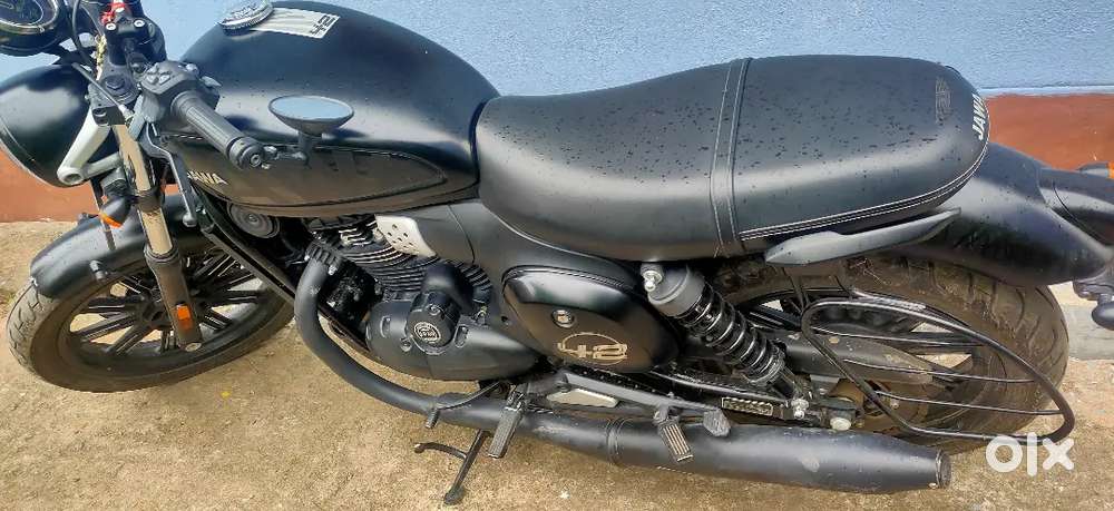 Black horse