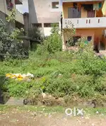 35x30, 1st Cross, Veerbhadra Nagar