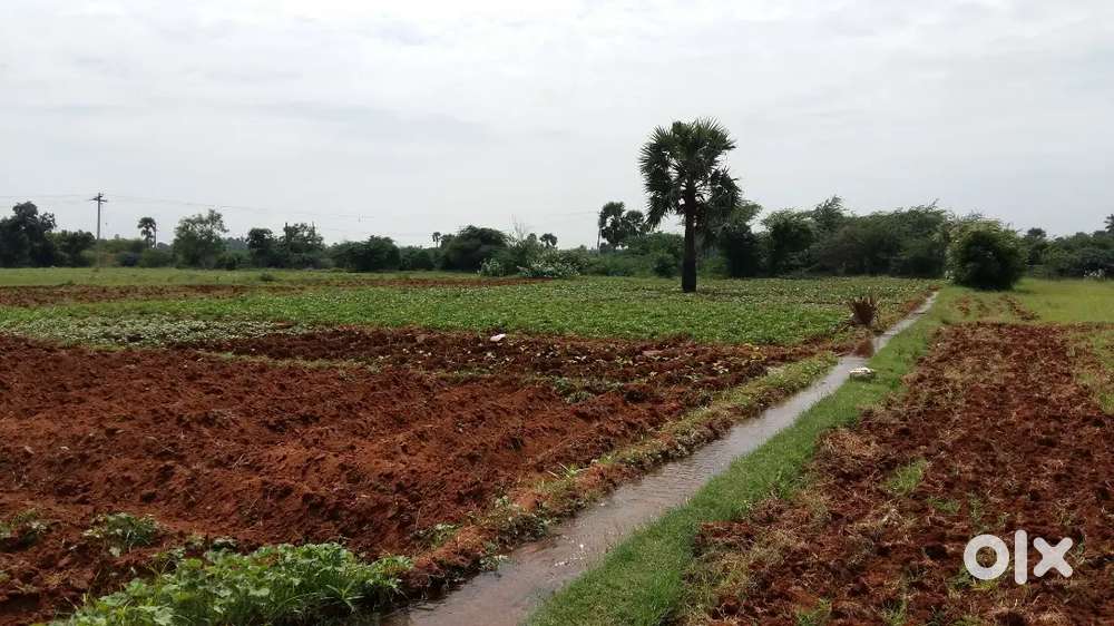 3 kathha plot at Amar, Harnaut,Nalanda