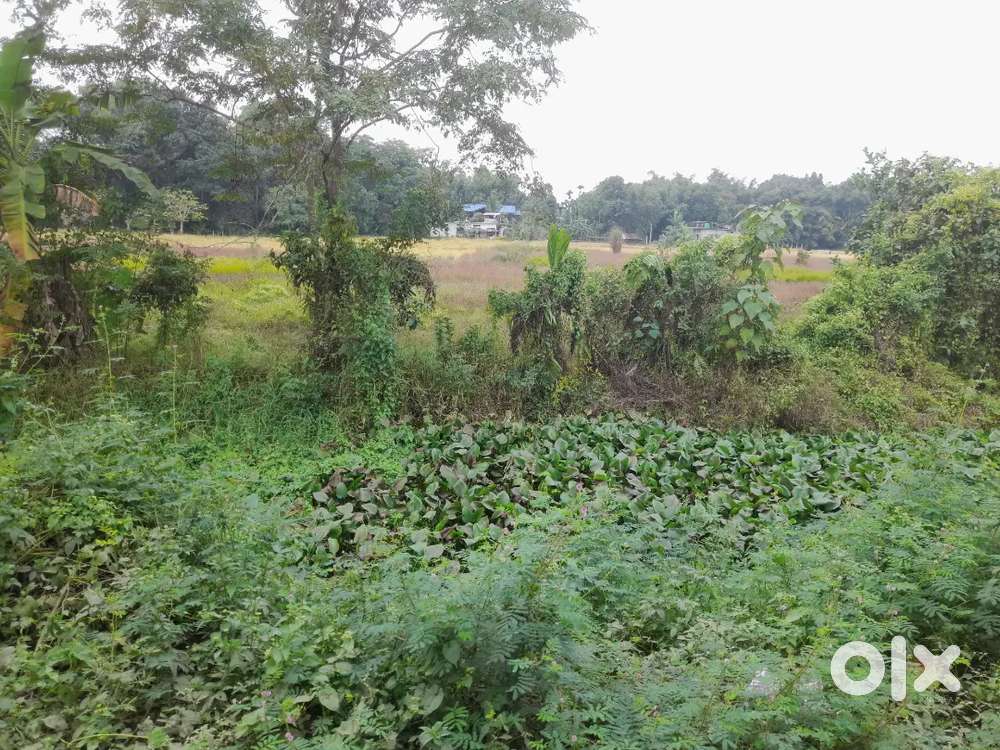Highland plot for sale in dibrugarh