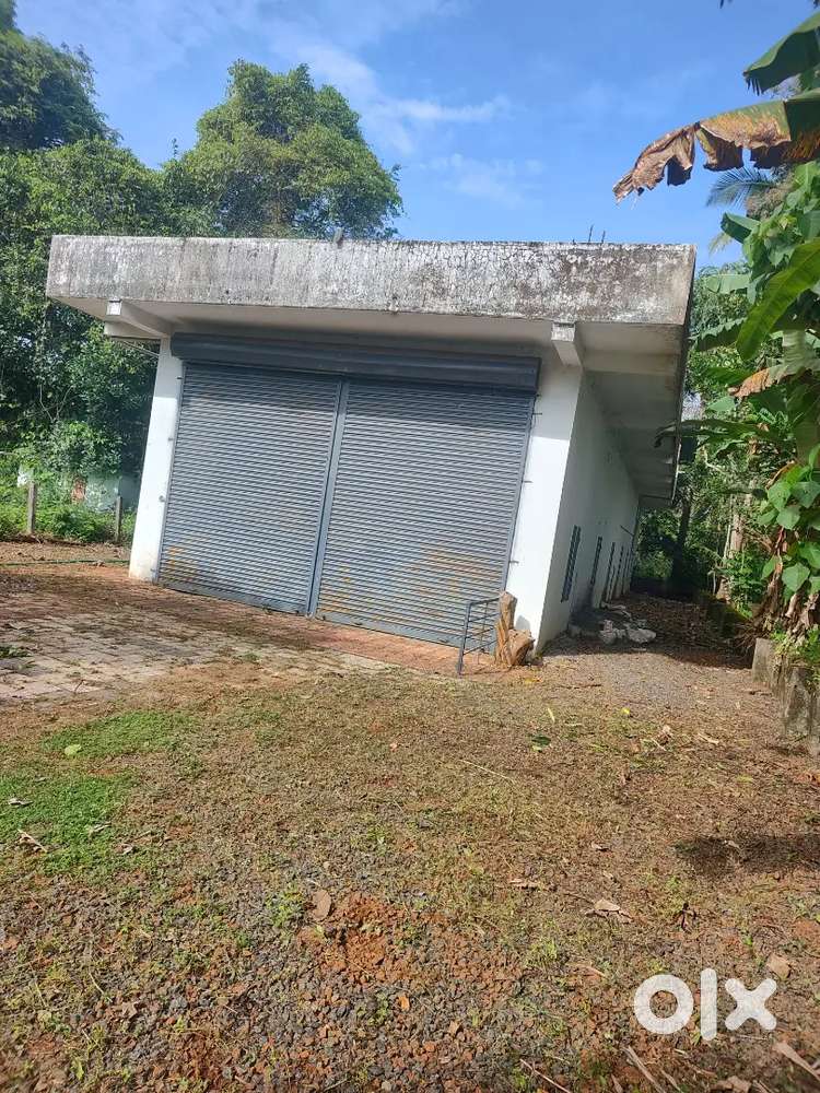 Buikding for renr 14 ft high single storied building floor car access