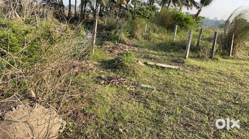 317 sq yards plot for sales in madhavapatnam