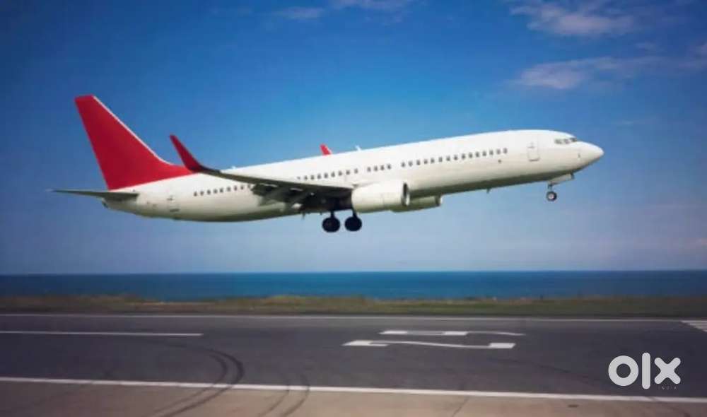 Candidate required for airport Job