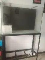 Fish tank with stand
