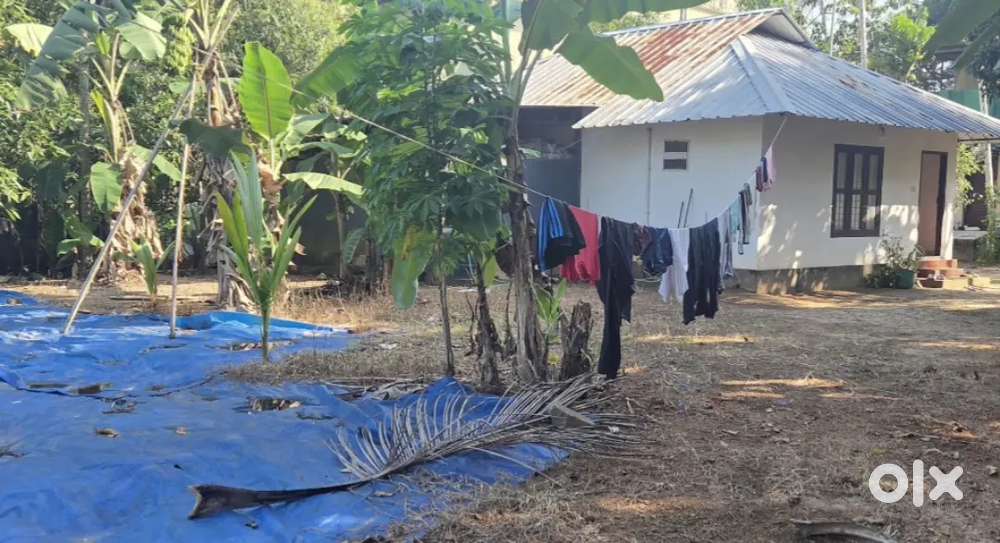 14 cent plot Cherthala KSRTC bus stand 50 mtr