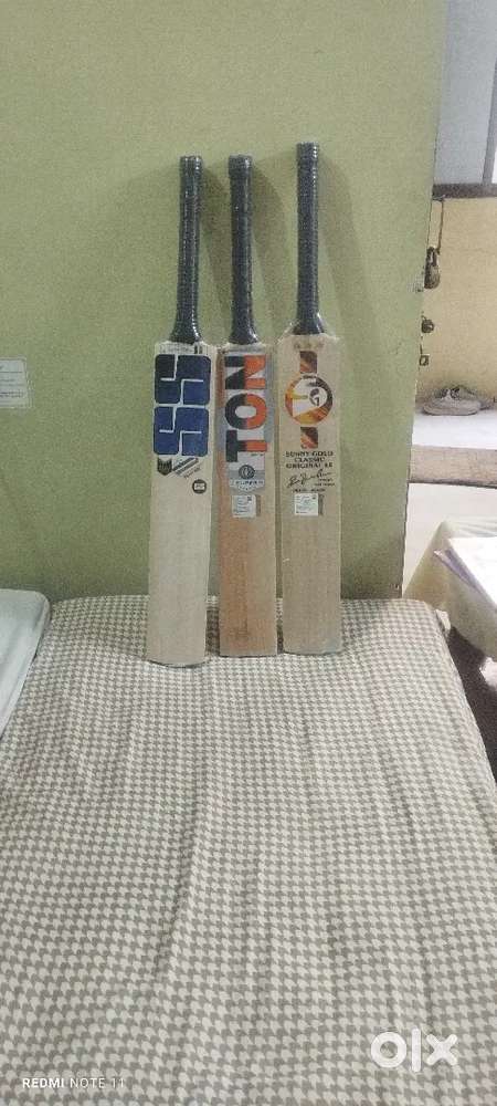 Kashmir willow Bats