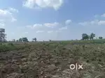 3 Adjacent plots for sale