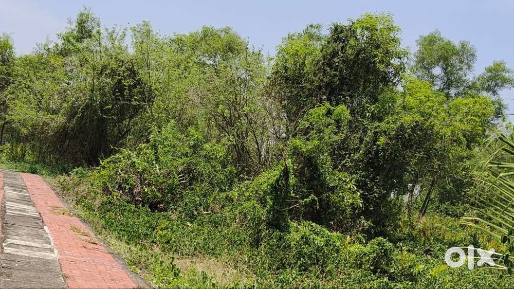 Land near Aster medi city - Ernakulam , Kerala