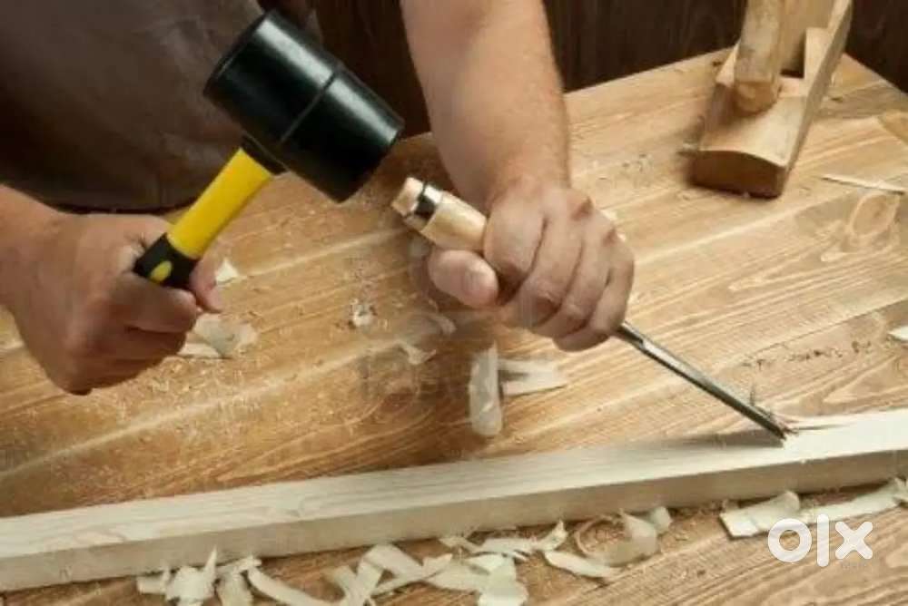 Carpenter Repairing Work,