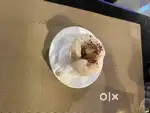 Pure Veg Restaurant