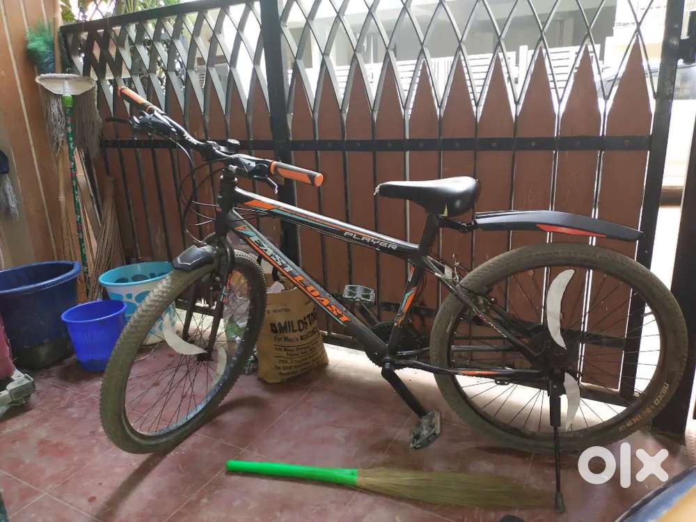 Cycle is 3 months old