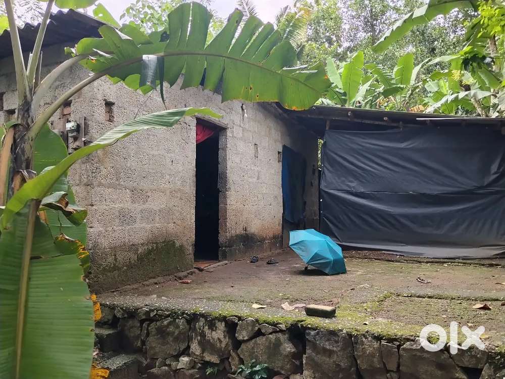 അഞ്ചു സെന്റ് വീടും വസ്തുവും