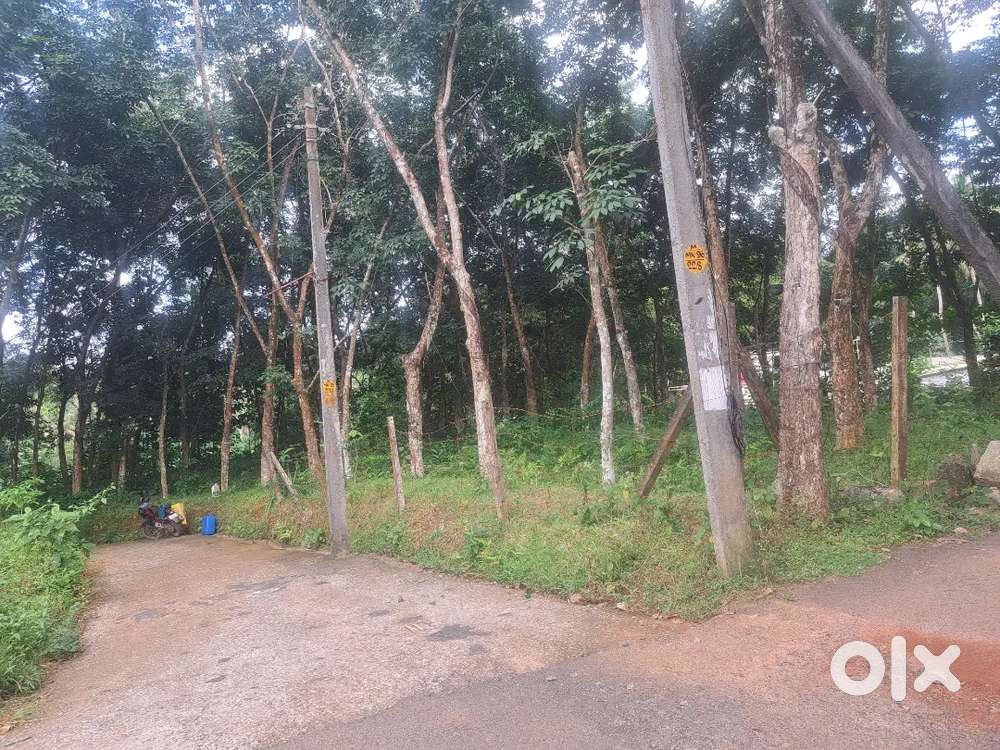 Land for sale in malayinkeezhu