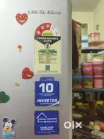 Lloyd a Havlls Brand