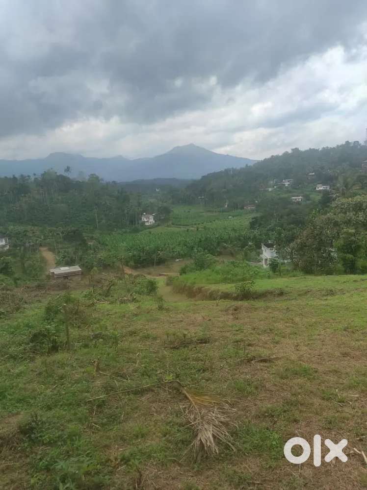 30 cent plot with beautiful view kalpetta municipality