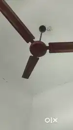 Independent room for girl only 2500