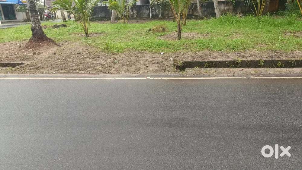 ടാർ മെയിൻ റോഡ് ഫ്രണ്ടേജിൽ / ഹോസ്പിറ്റൽ, HSസ്കൂൾ, കോളേജ് etc Near ,