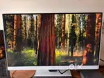 BenQ GW2790QT 27 IPS 2k QHD Monitor