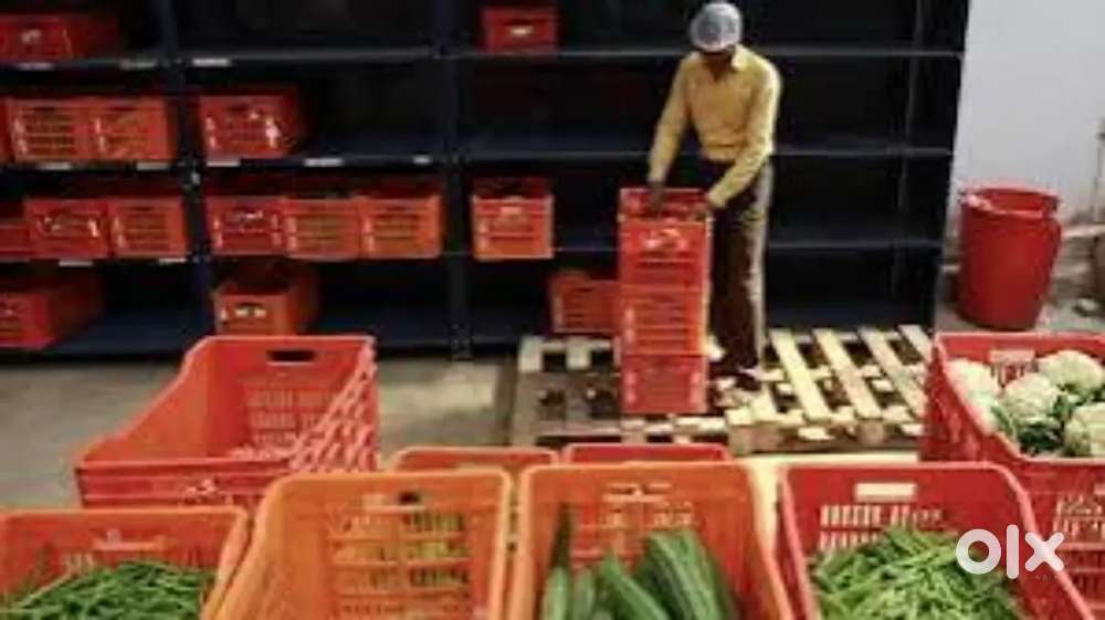 Wanted male/female warehouse packing helpers [ partime also]