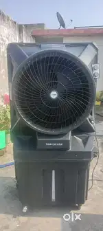 tomashi thar 150 s dls