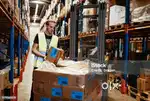 Shipping job hiring
