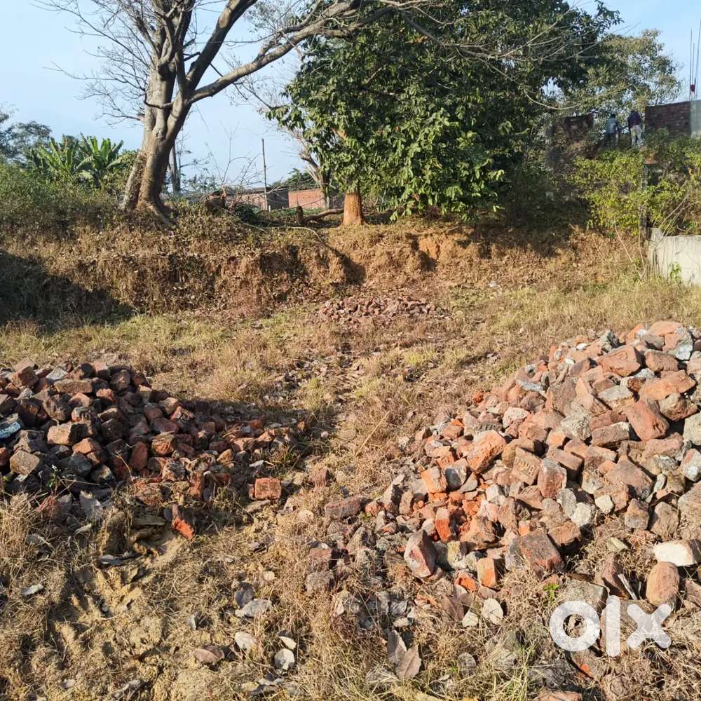 Semartoli balalong mai jameen hai .