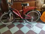 Razoback bicycle