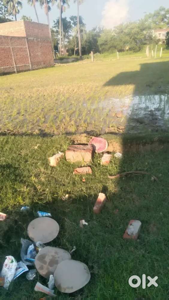 2dhismil Janta school se paschim side