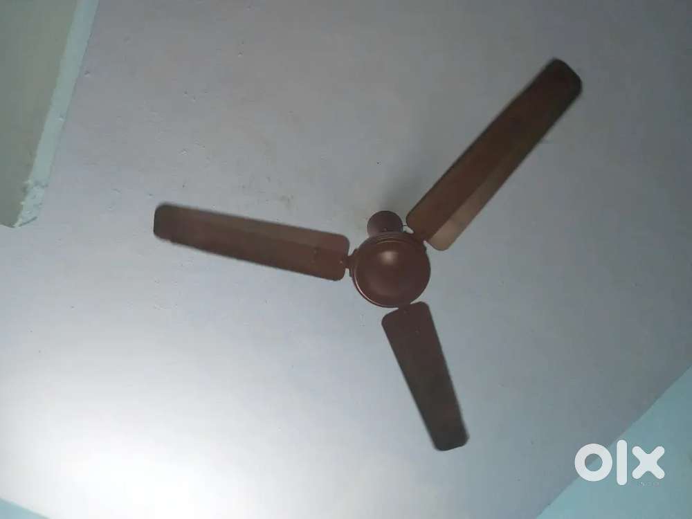 Induction stove,  cooker, ss kadai , Ceiling Fan