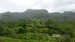 210 Acre Agricultural Land