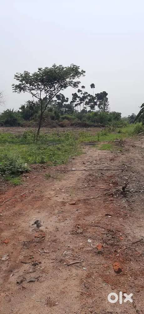 Vacant land on sale in Rajarhat Panchuria