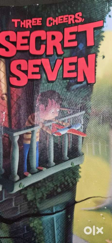 Secret seven english story book