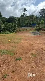 പുരയിടം വിൽപ്പനക്ക്( Plane Land )